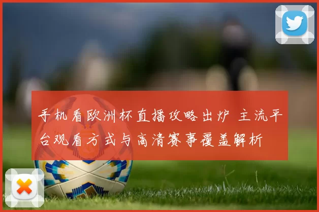 手机看欧洲杯直播攻略出炉 主流平台观看方式与高清赛事覆盖解析