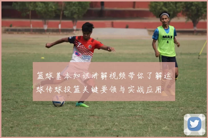 篮球基本知识讲解视频带你了解运球传球投篮关键要领与实战应用