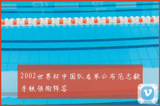 2002世界杯中国队名单公布范志毅李铁领衔阵容