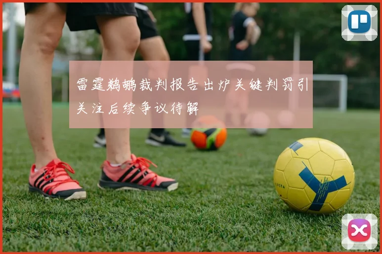 雷霆鹈鹕裁判报告出炉关键判罚引关注后续争议待解