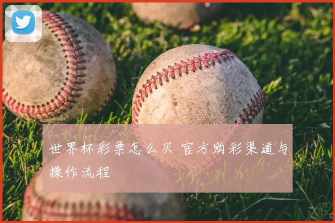 世界杯彩票怎么买 官方购彩渠道与操作流程