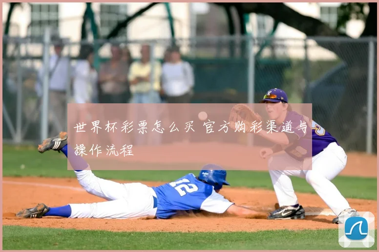 世界杯彩票怎么买 官方购彩渠道与操作流程